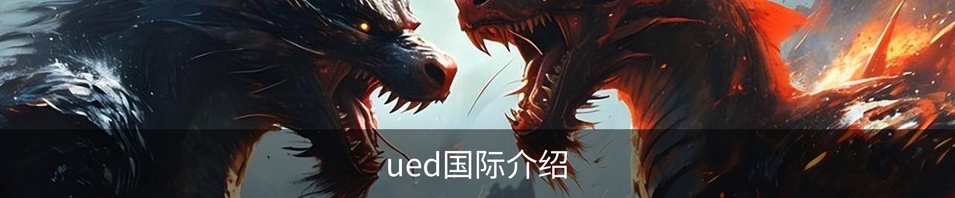 ued国际介绍